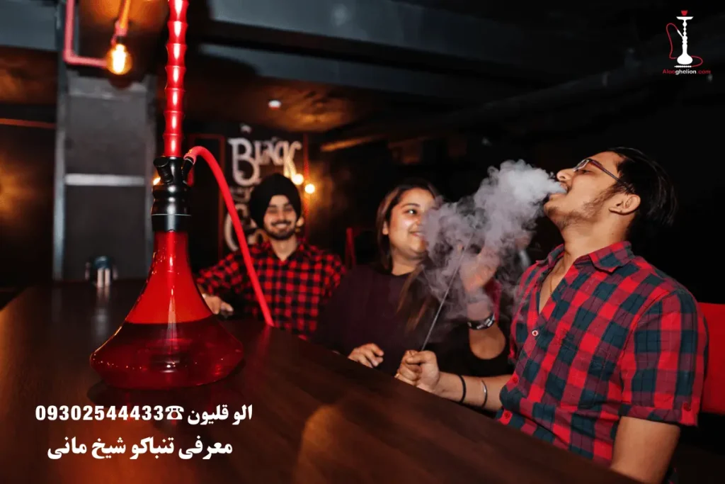 معرفی تنباکو شیخ مانی