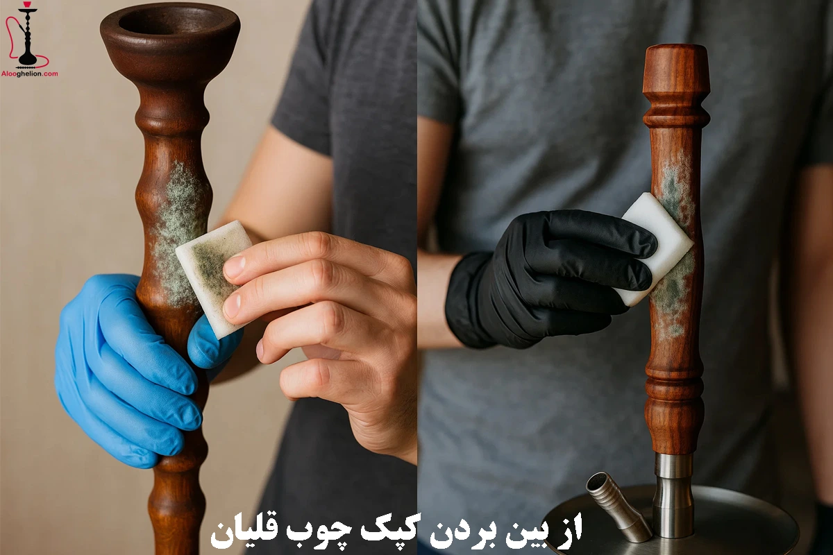 از بین بردن کپک چوب قلیان