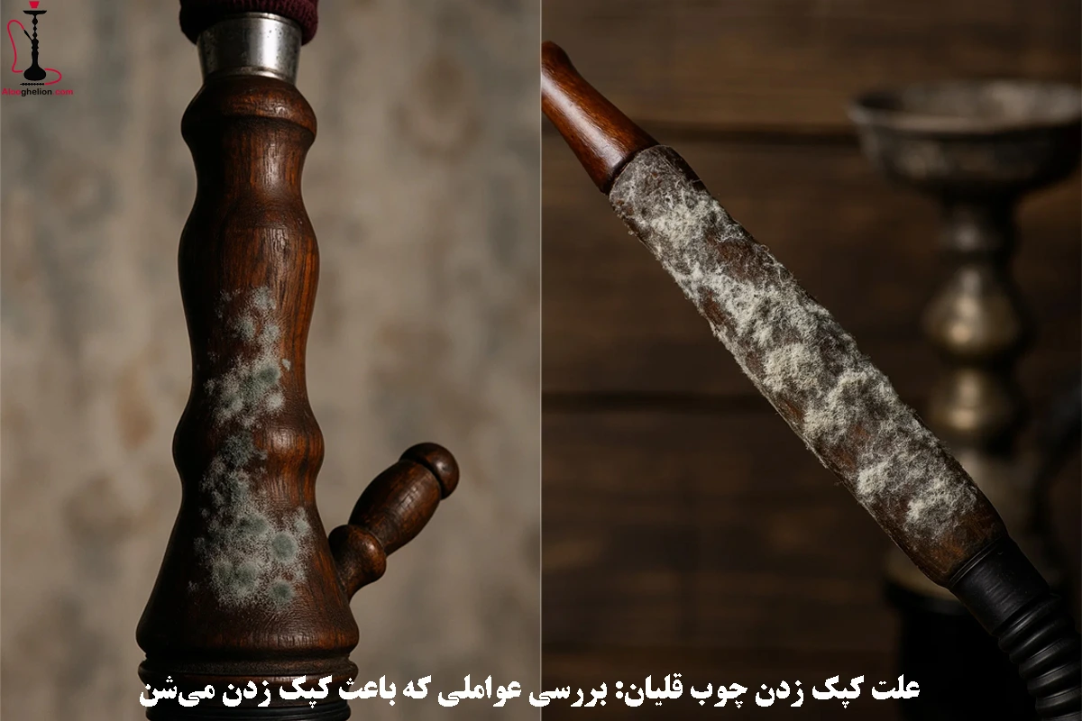 علت کپک زدن چوب قلیان